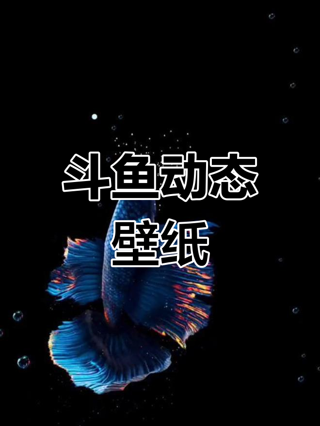 动态壁纸:斗鱼美景