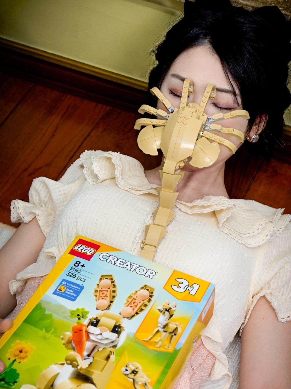 当我买了一盒乐高小兔子……乐高 积木