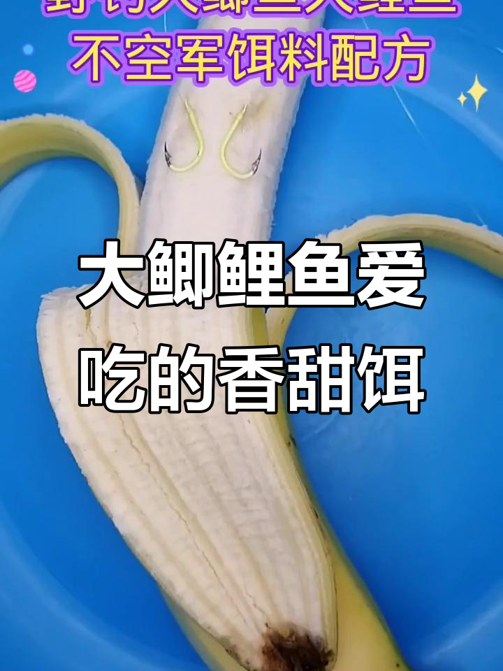 香蕉、蜂蜜与玉米面粉搭配,制作大鲫鲤鱼最爱饵料