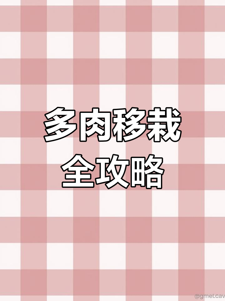 多肉植物移栽技巧:如何修根、选盆与操作步骤