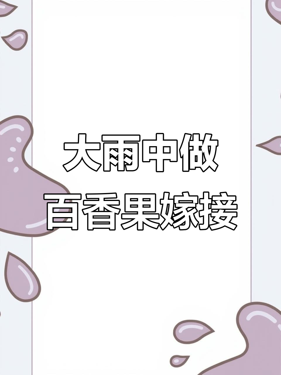 雨天嫁接百香果,三种方式提高成活率