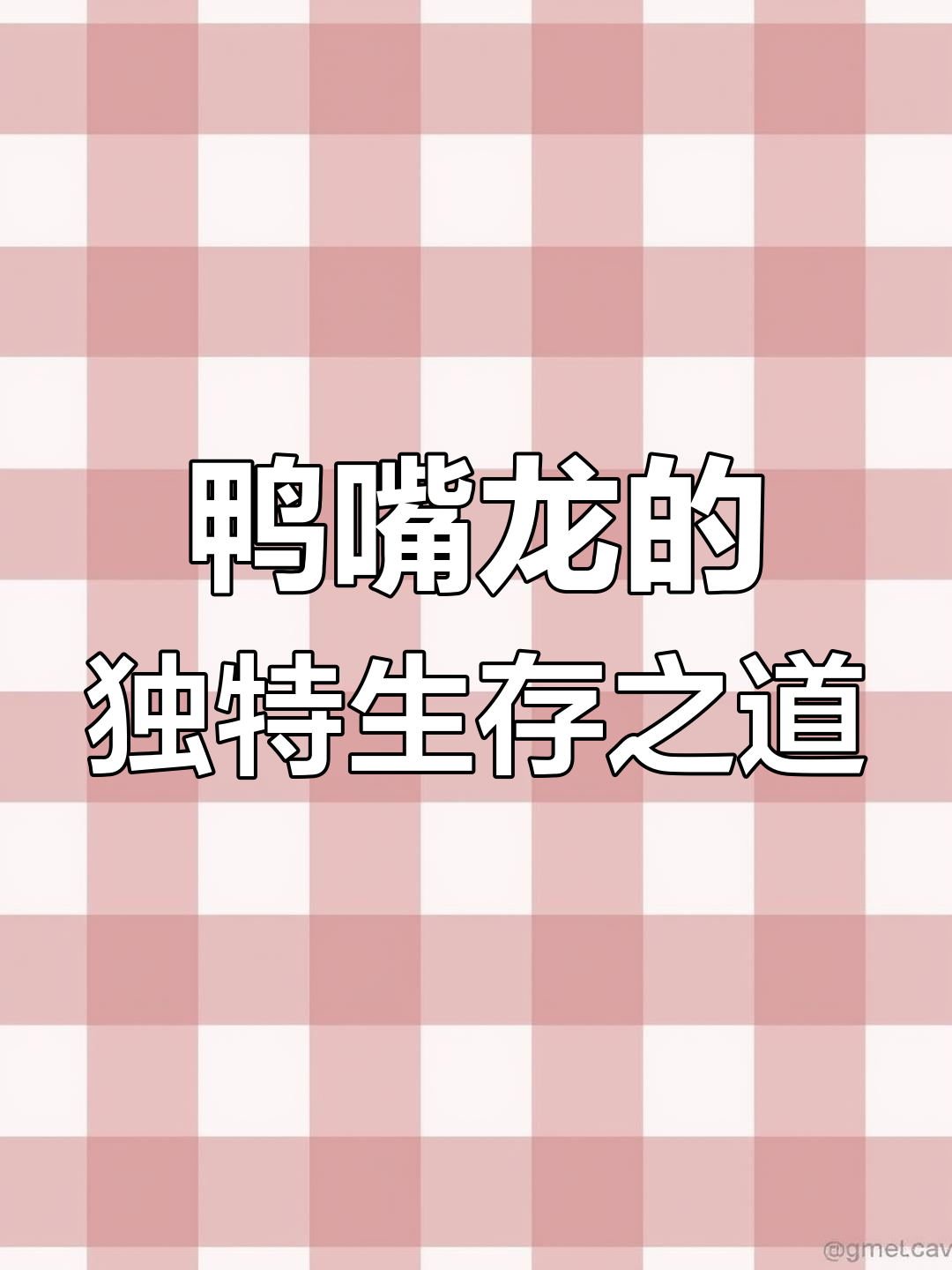 鸭嘴龙如何通过牙齿生存