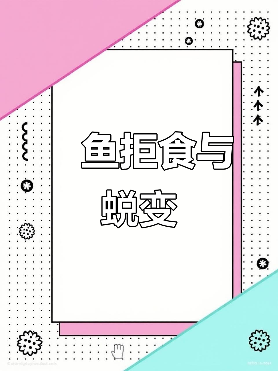魟鱼拒食20天,葫芦口蜕变全程记录
