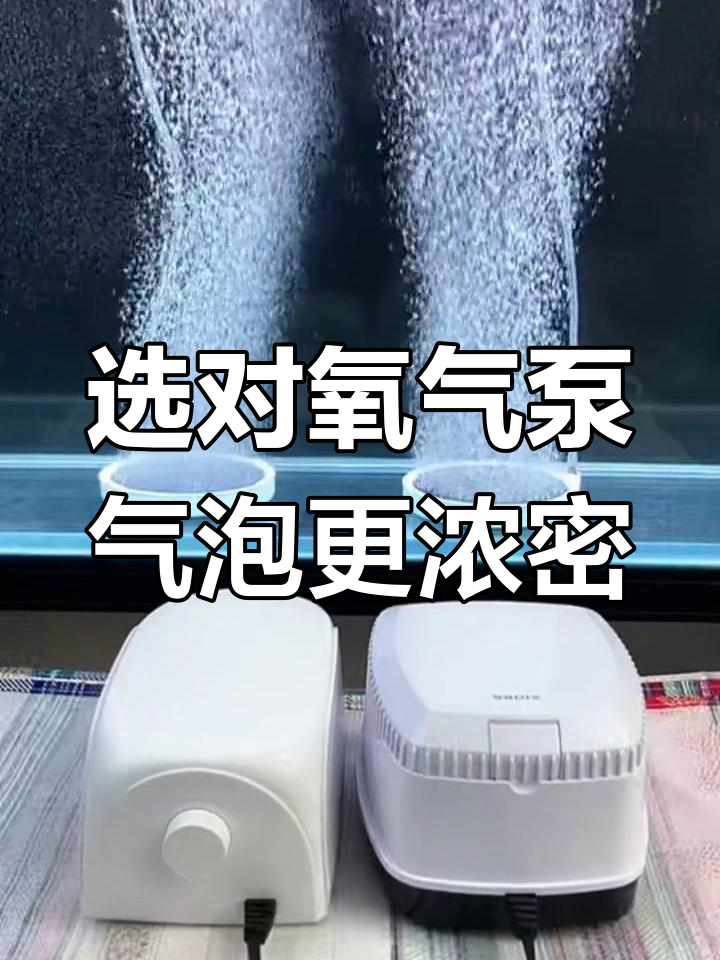 如何选择适合的氧气泵?了解鱼缸水深与气泵匹配技巧