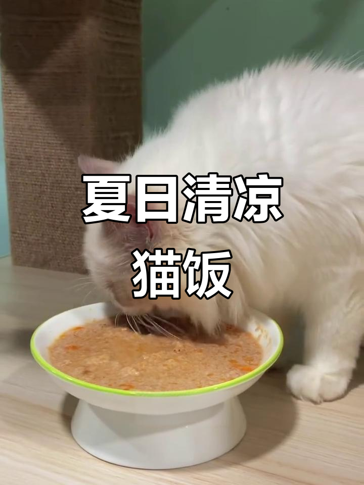 夏季猫咪降火食谱,鸭肉胡萝卜土豆猫饭制作