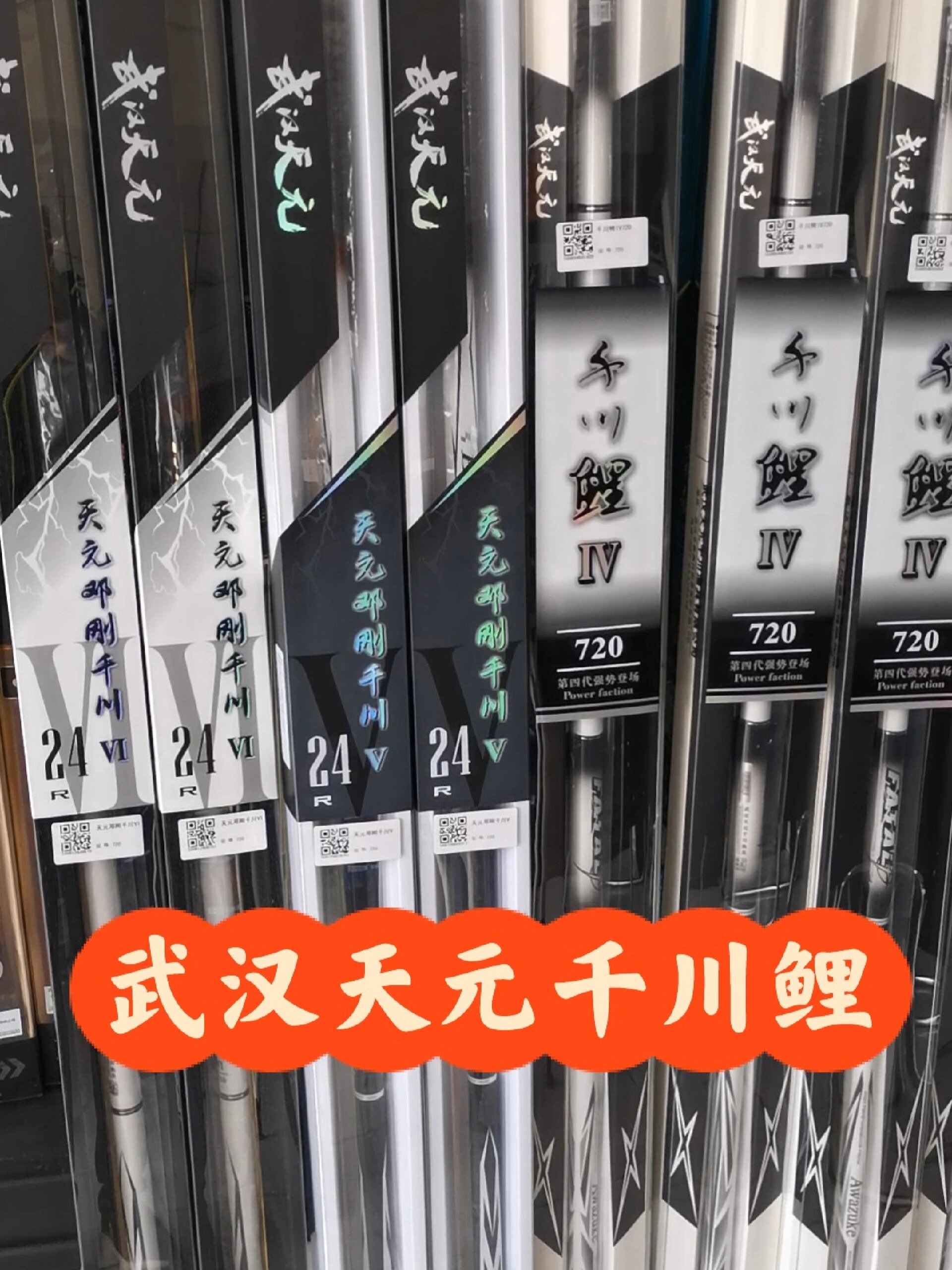 武汉天元邓刚千川鲤四代五代六代到货