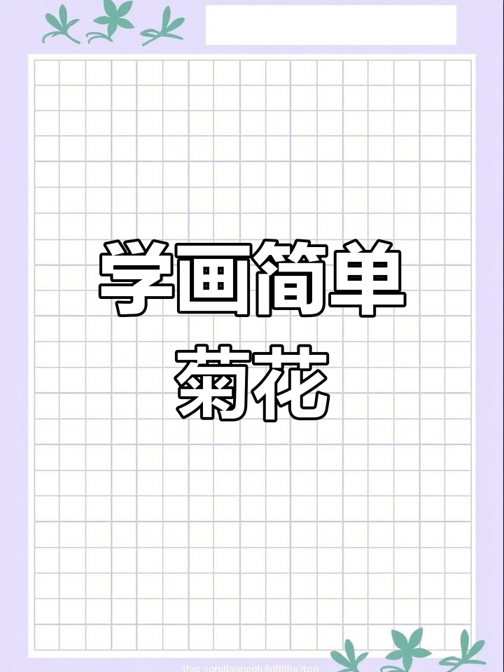轻松画出美丽菊花,步骤详解零基础也能学会
