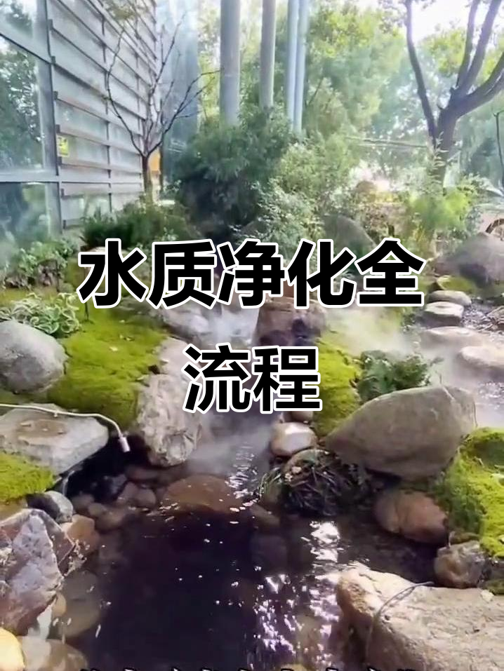 鱼池水循环如何实现自净?从进水到落水的全过程解析