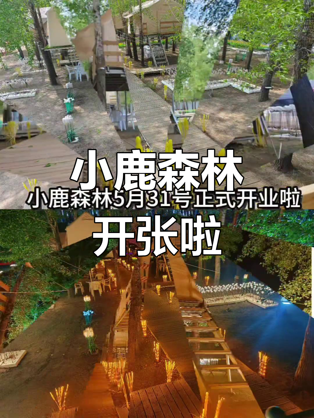 小鹿森林5月开业,快来一起庆祝!
