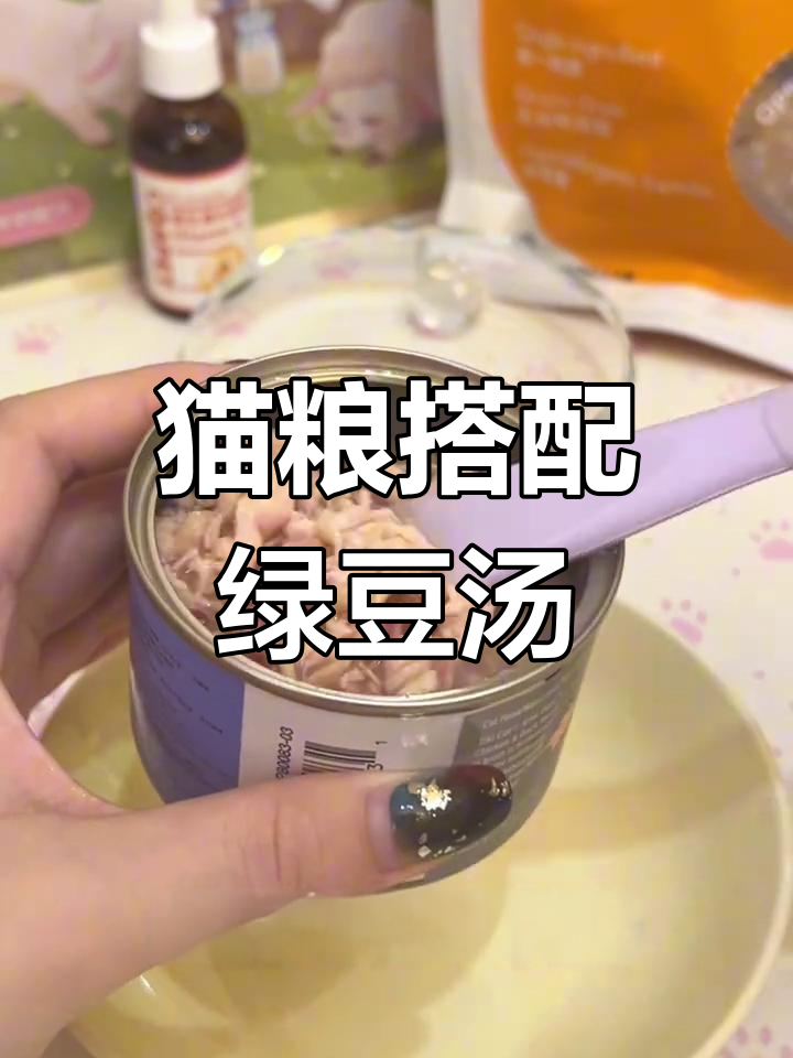 猫咪零食罐头配绿豆汤,吃肉丝还能挑口味