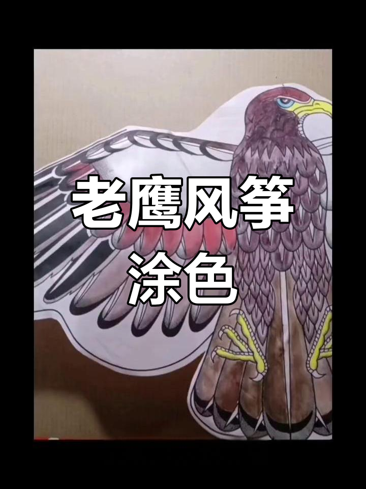 儿童创意风筝画:老鹰翅膀与羽毛的色彩搭配技巧