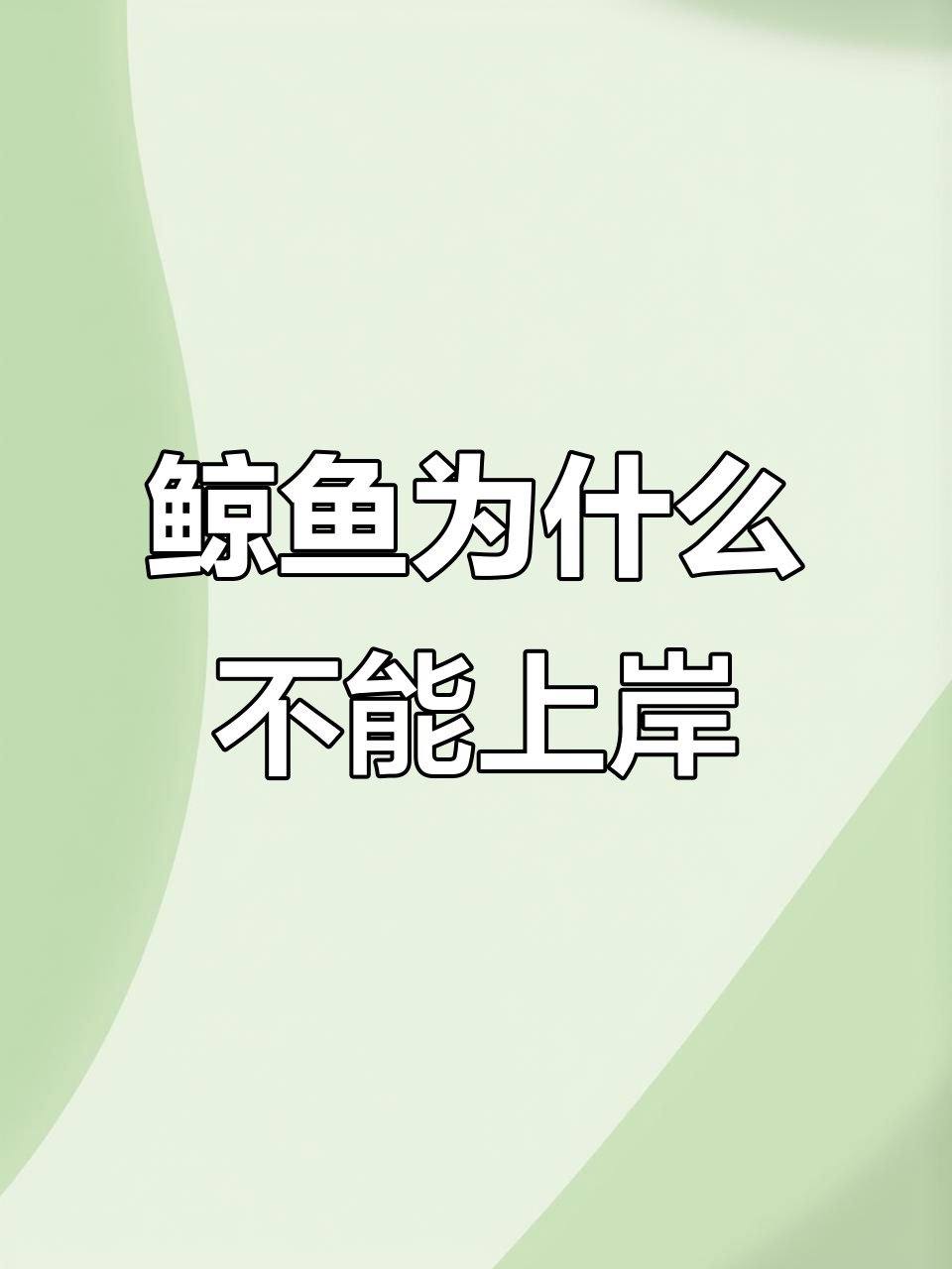鲸鱼为何上岸会死?揭秘搁浅原因