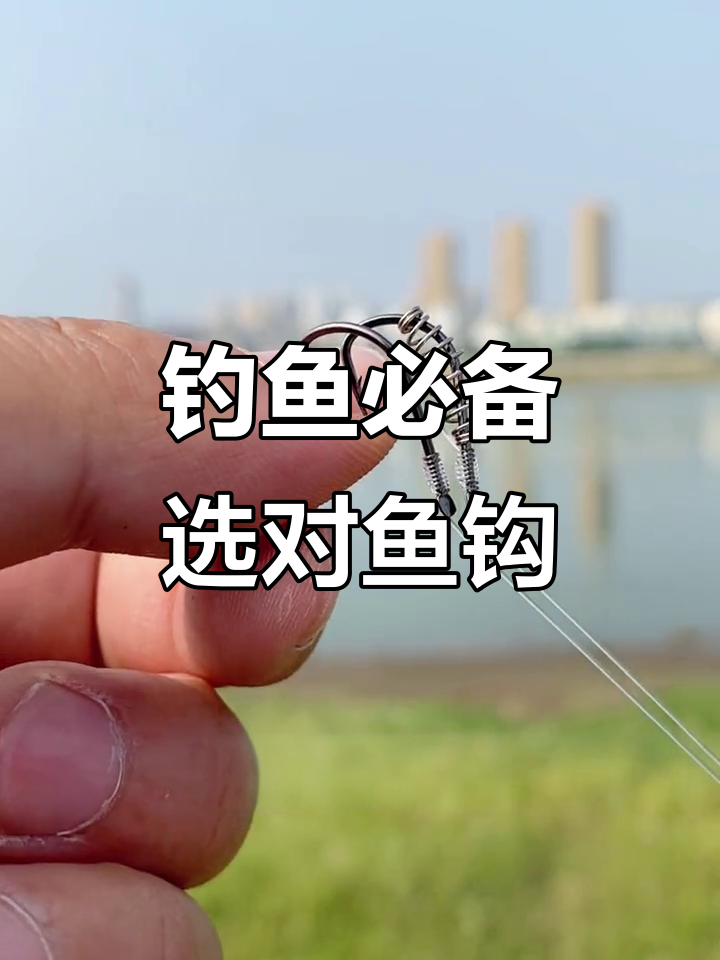 选对鱼钩,钓鲢鳙更轻松!弹簧子线双钩技巧大揭秘