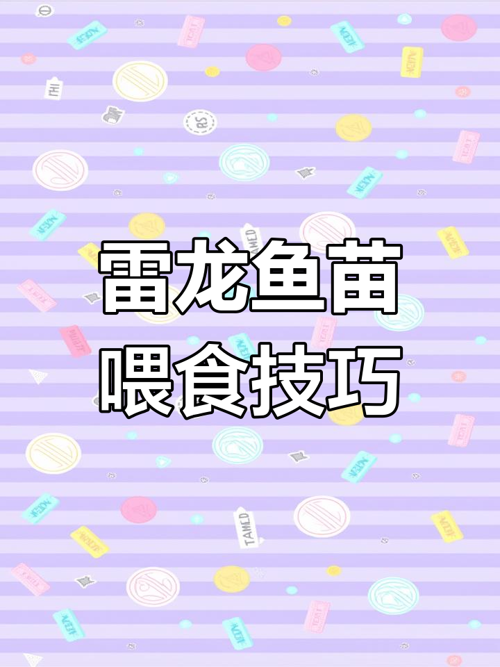雷龙鱼苗成长全攻略:从丰年虾到发色饲料,营养搭配更健康