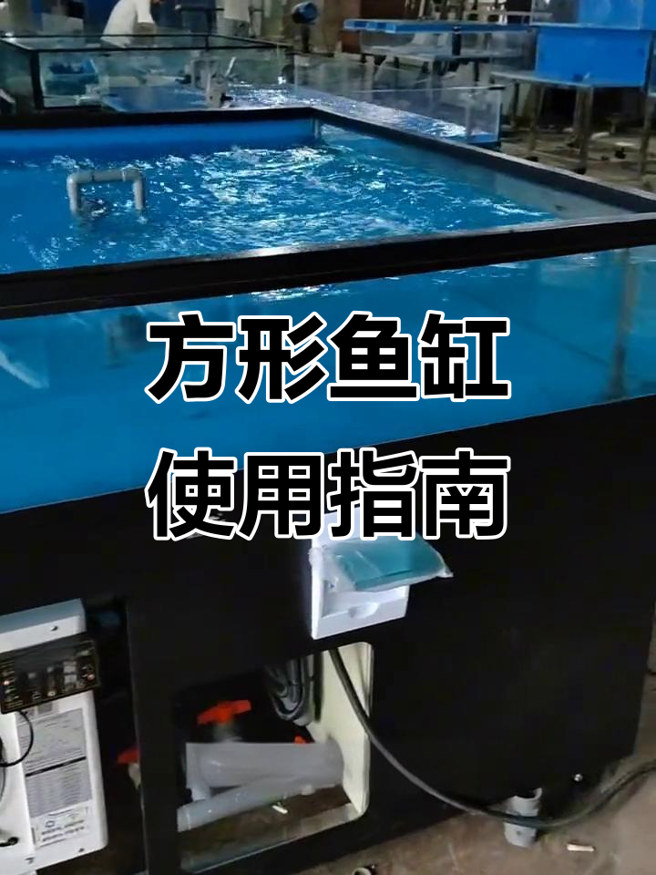 方形海鲜鱼缸操作全攻略,轻松上手!
