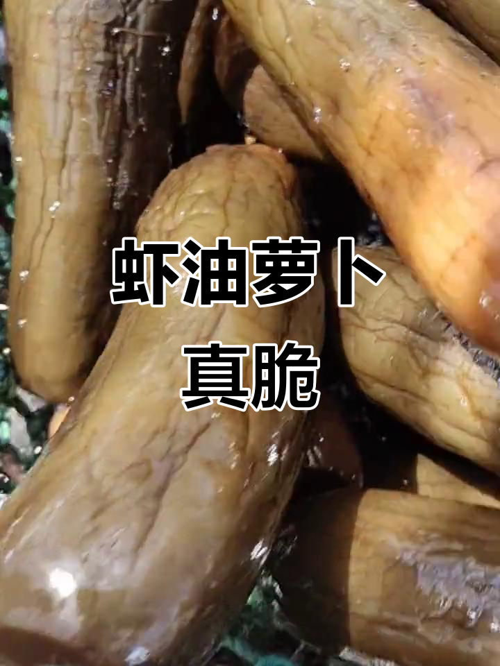 羊口老咸菜,脆嫩爽口!虾油萝卜的独特风味
