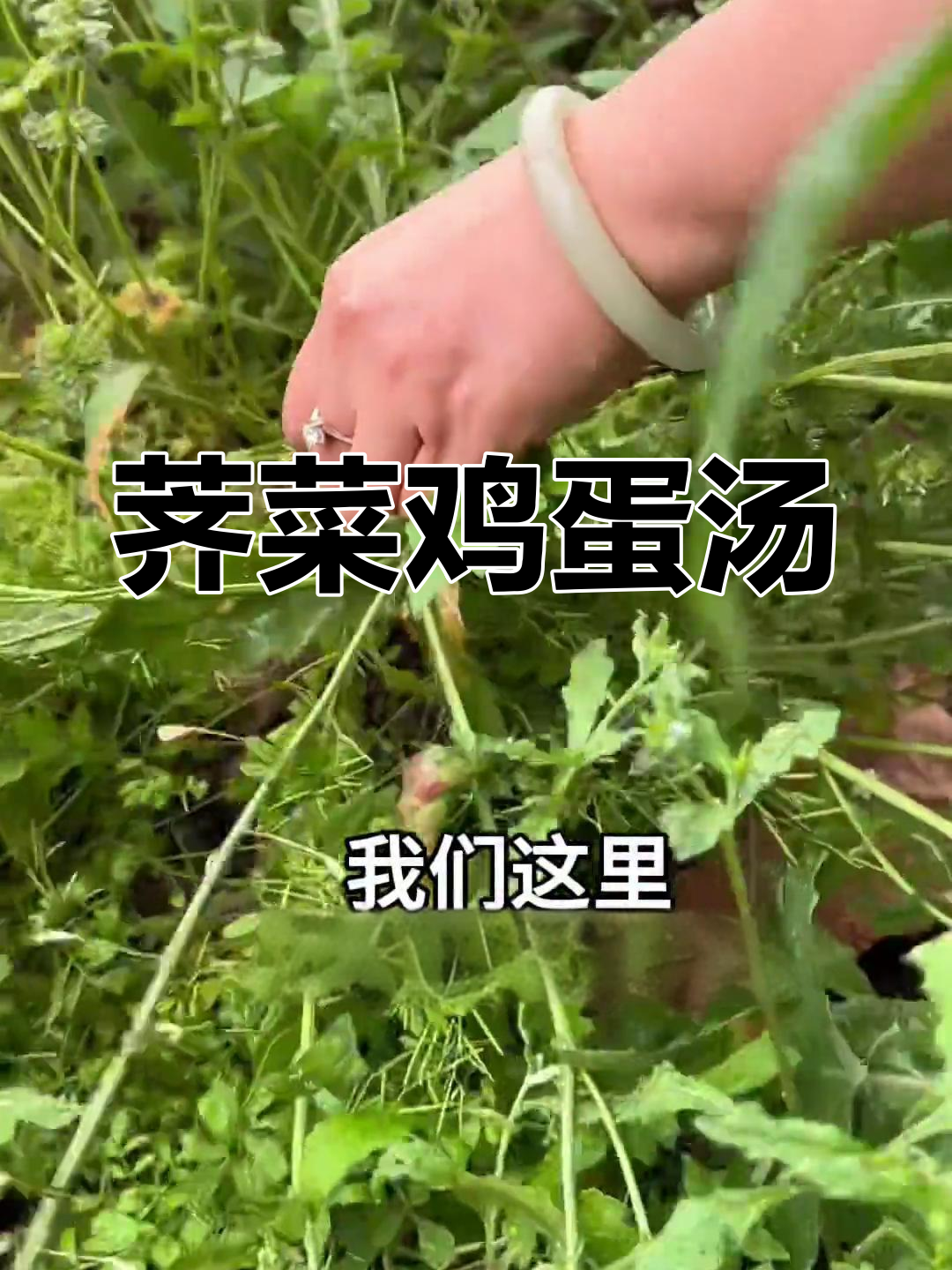 荠菜煮鸡蛋,春季美味养生法