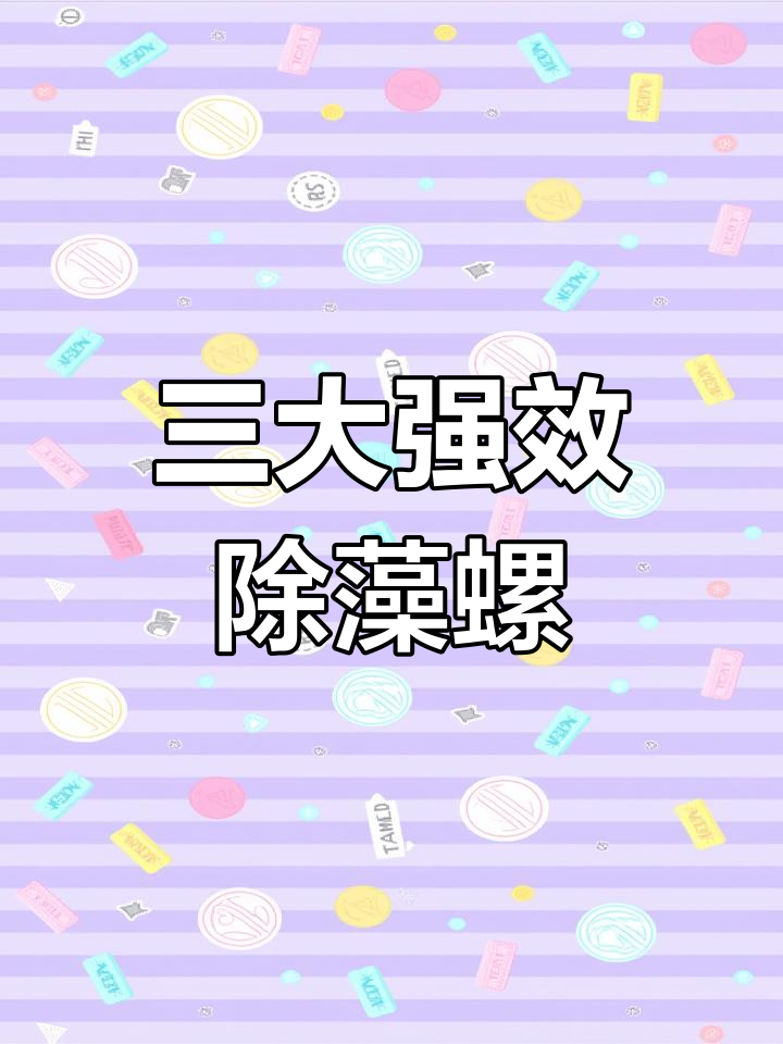 鱼缸清洁三大强力除藻螺,轻松搞定水质问题