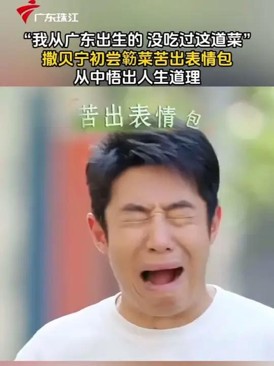 “我在广东出生的,没吃过这道菜”,撒贝宁初尝簕菜苦出表情包,从中悟出人生道理