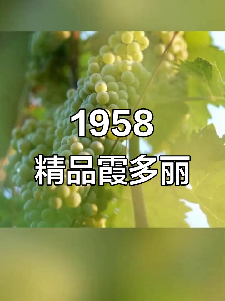 民权葡萄酒1958干白,品质与口感完美结合