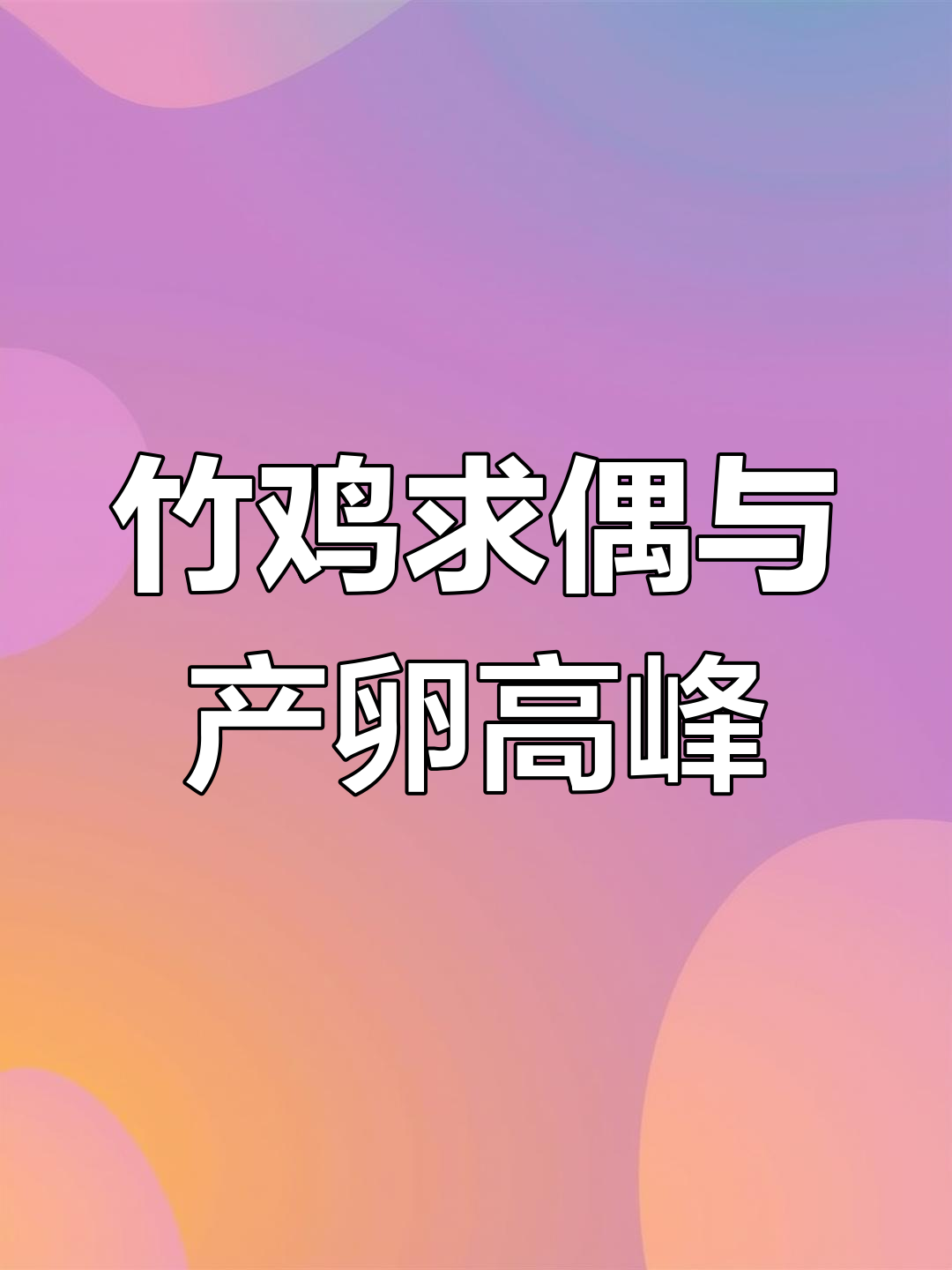竹鸡繁殖期揭秘,三到七月份最活跃