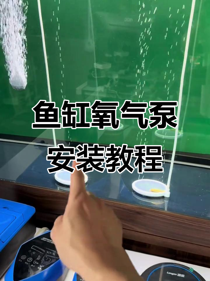 鱼缸氧气泵安装全攻略，轻松搞定打氧问题