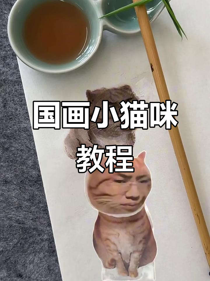 零基础国画小猫教程,轻松学会画出可爱梨花雪月猫