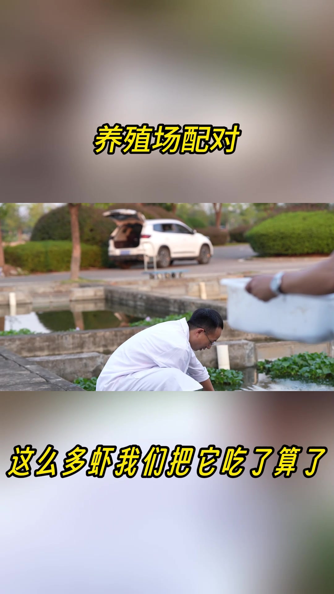 南县种虾记⑤:原籍美国的小龙虾在湖南举行集体婚礼,还有“洞房”“怀孕”“抱籽”