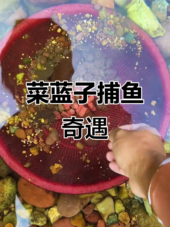菜篮子陷阱抓鱼,竟然遇到这种奇怪生物!