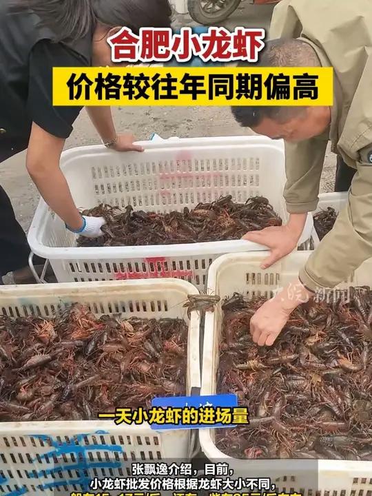  4月7日、8日,大皖新闻记者走访发现,合肥市场小龙虾价格较往年同期偏贵。因价格原因,菜市