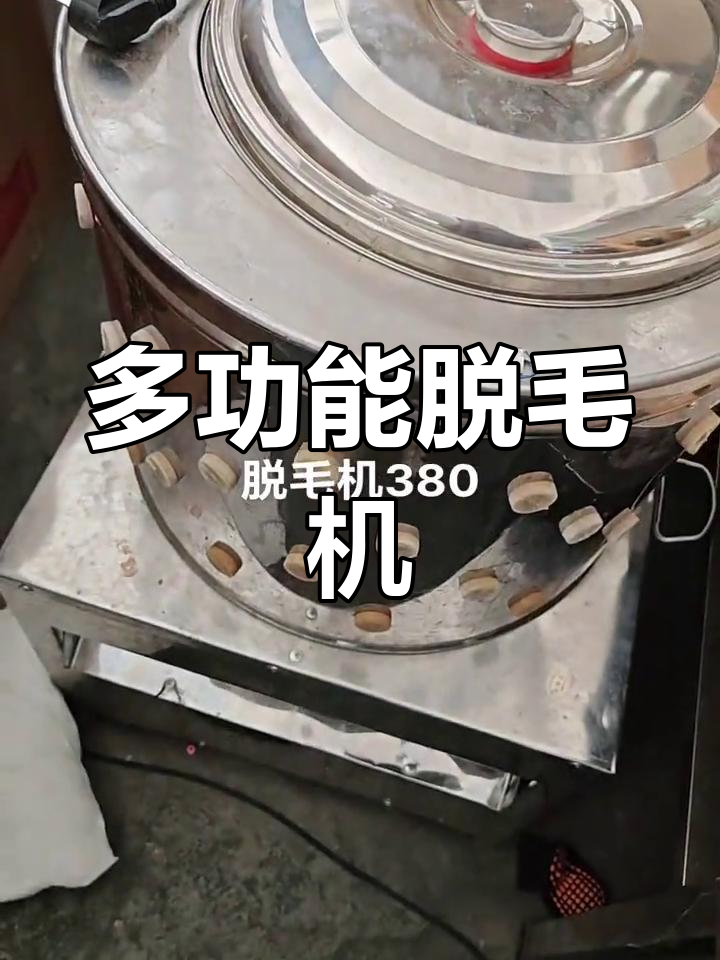 脱毛机轻松去鸡鸭鹅毛,边洗边拖更方便