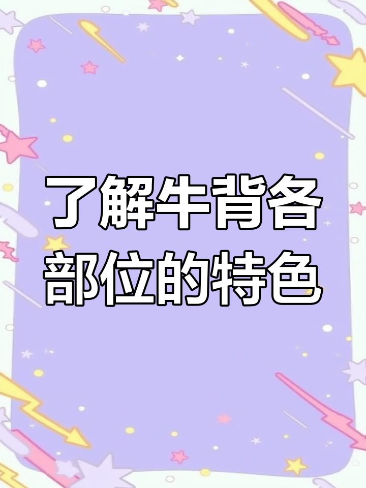 牛排分布揭秘:从脖子到臀腰,每个部位的特点都不同