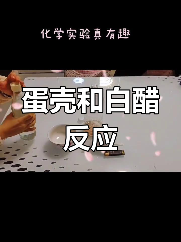 化学小实验:鸡蛋壳与白醋的反应