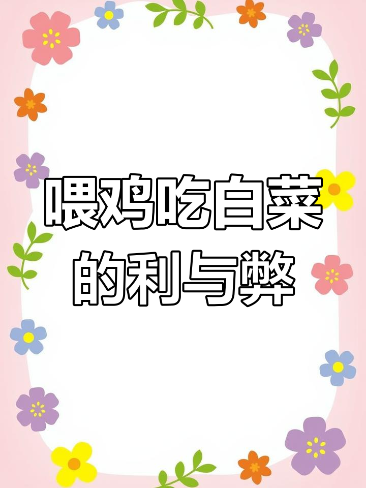 给鸡喂大白菜,好处多还是坏处?掌握正确方法避免拉稀