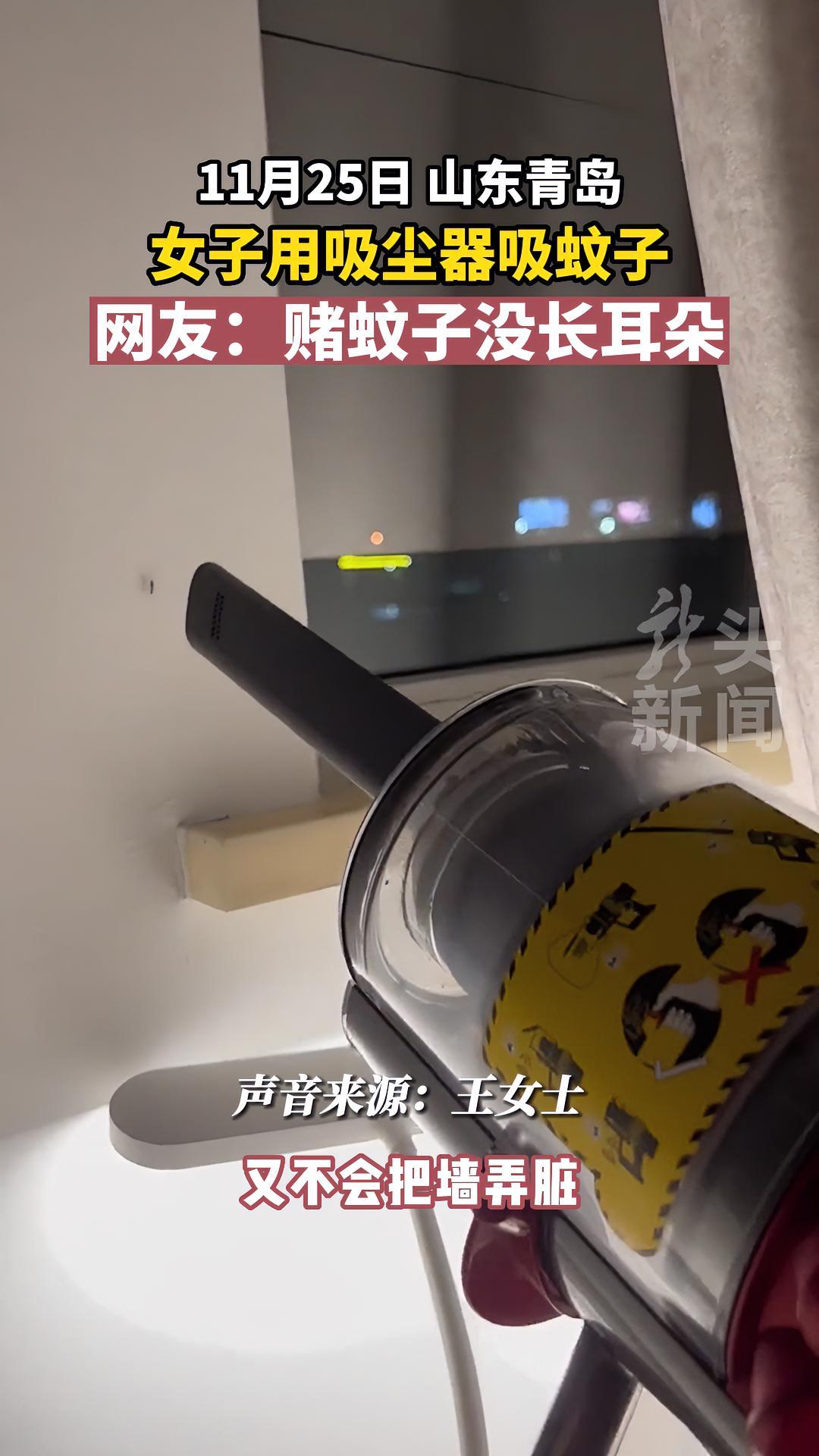 女子用吸尘器吸蚊子 网友:赌蚊子没长耳朵 黑龙江dou知道