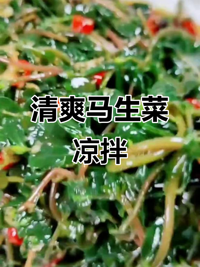 马生菜凉拌新做法，三高人群最爱长寿美味