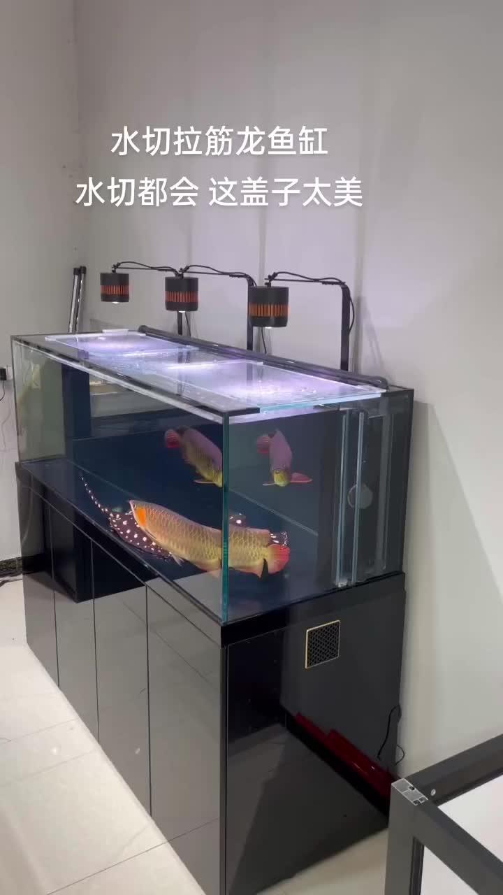 完美水切盖子解决方案 超白鱼缸 观赏鱼 家装鱼缸设计
