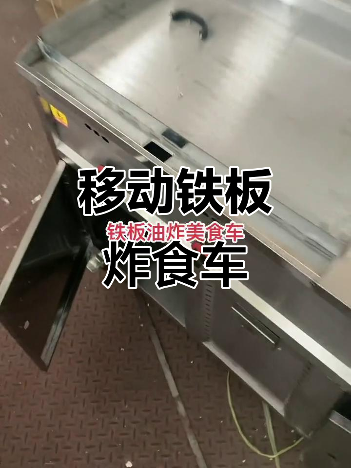 移动铁板油炸小吃车,双缸设计灵活多变