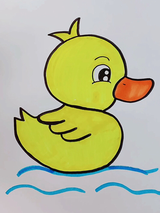 s画小鸭子