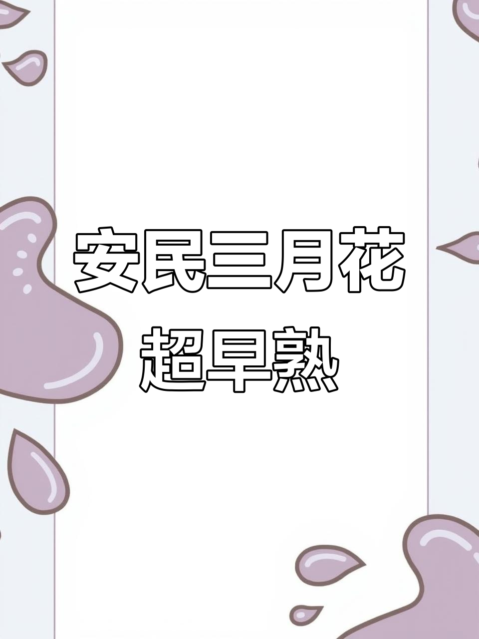 2024年4月25日:祁东安民黄花菜新品种早熟高产无农药