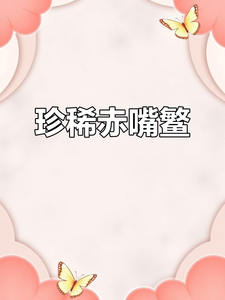 赤嘴鳘鱼胶,珍贵且稀少,产自深海,营养价值极高