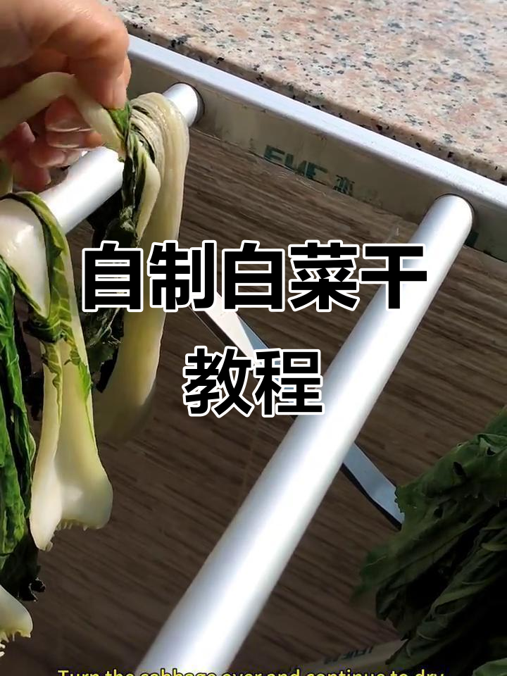 广东晒菜干全攻略,简单几步搞定美味