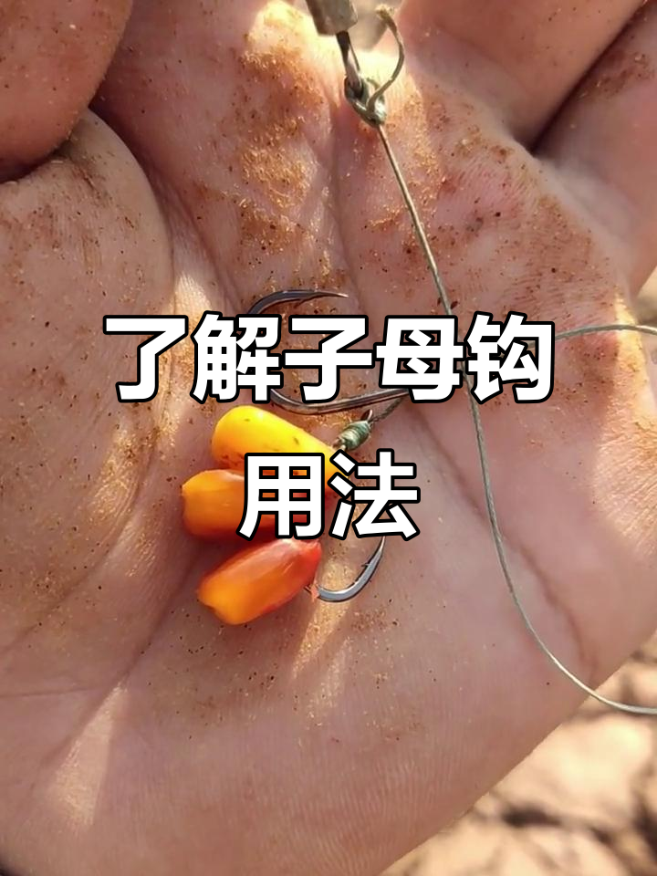 子母钩搭配技巧大揭秘,如何选择适合的型号与绑法