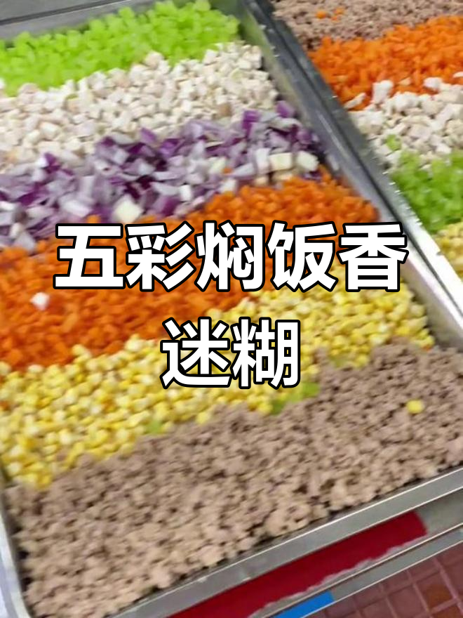 贝德利幼儿园午餐大揭秘,五彩焖饭香气扑鼻