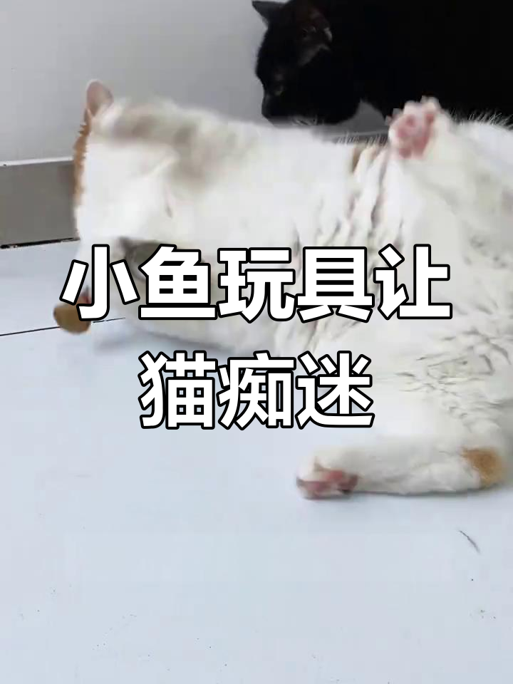 电动仿真小鱼逗猫神器,猫咪玩得不亦乐乎