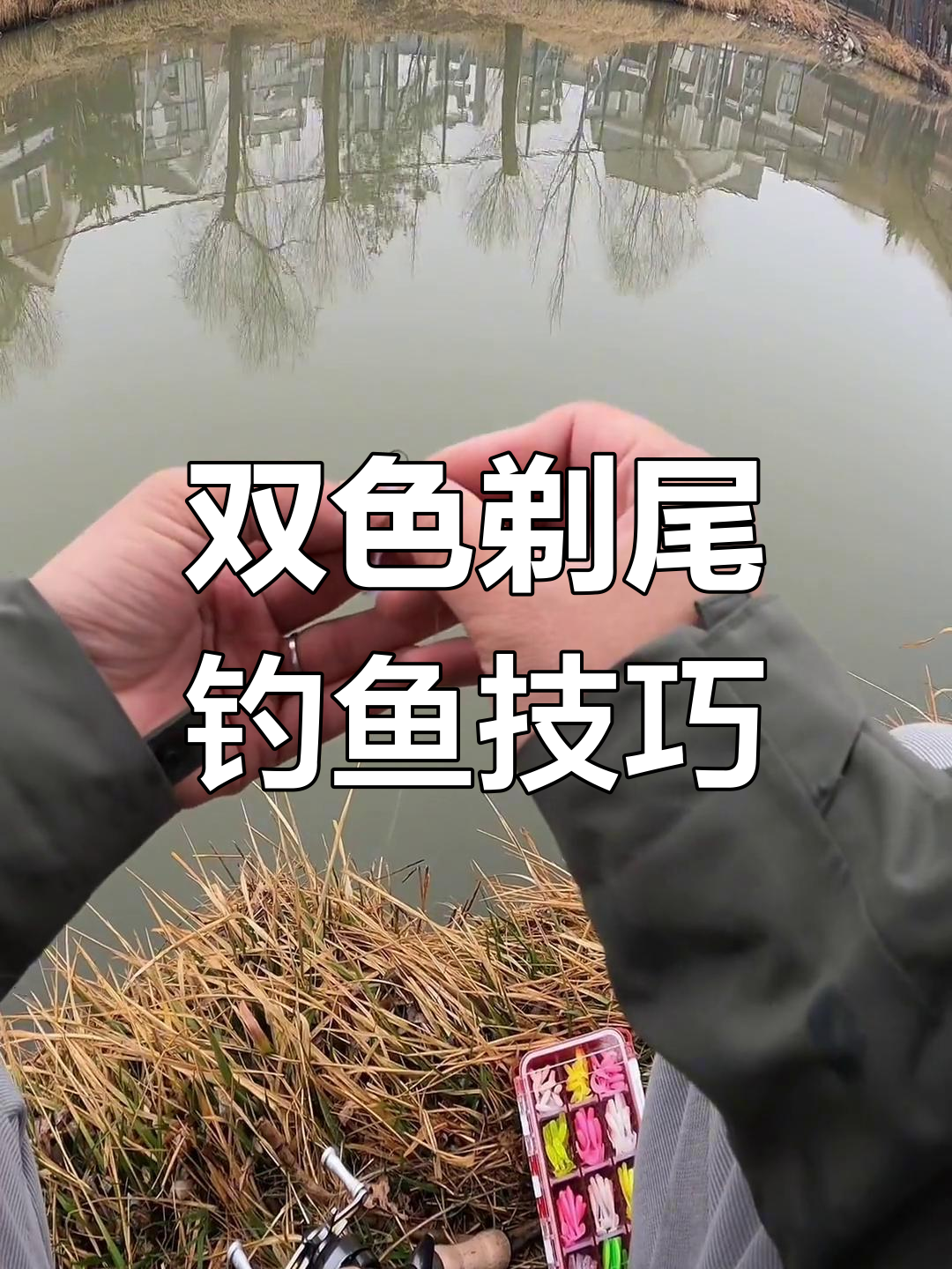 微物路亚钓加州鲈鱼,双色剃尾搭配技巧大揭秘