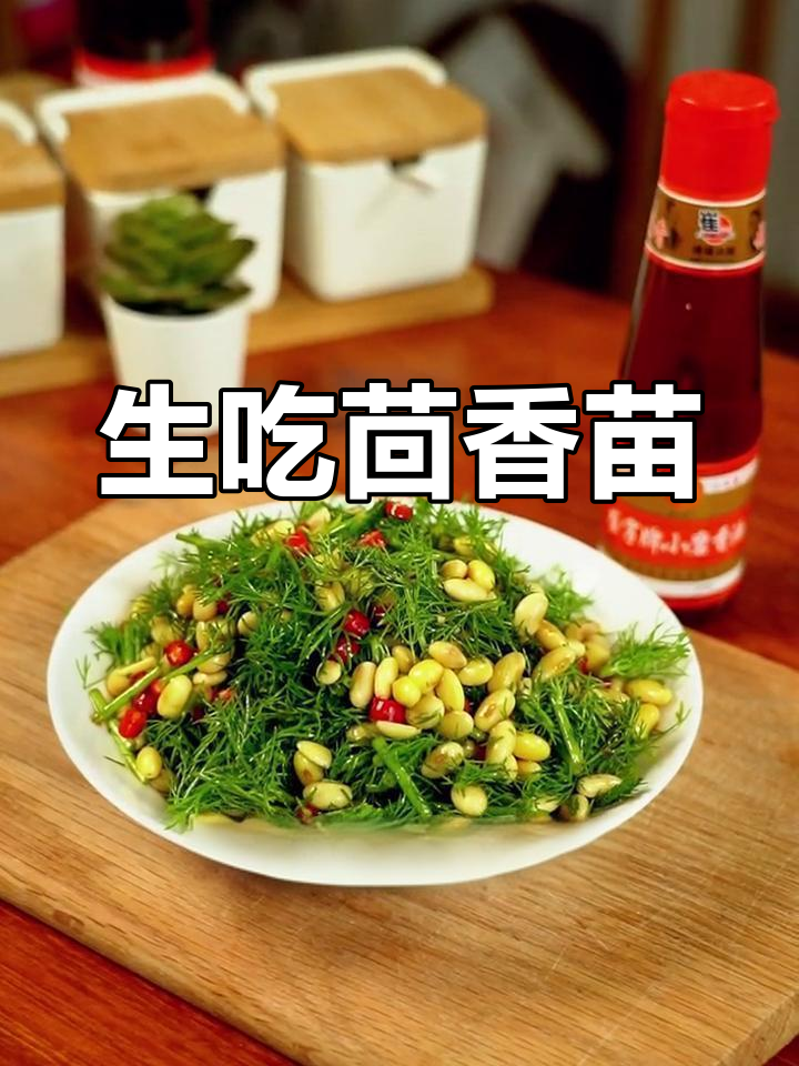 新鲜茴香苗,凉拌清爽又营养