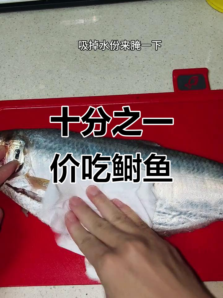 只需十分之一价格,鲥鱼平替轻松搞定
