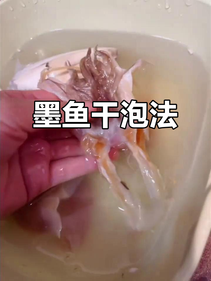 墨鱼干泡发技巧大揭秘,这样做更香嫩