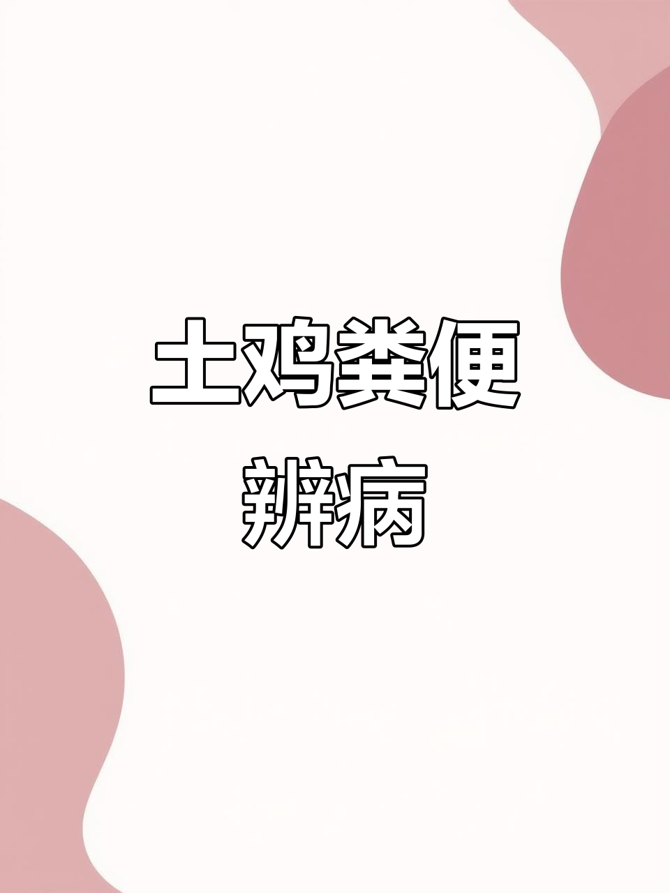 土鸡粪便识别与健康预警，各种异常症状解析